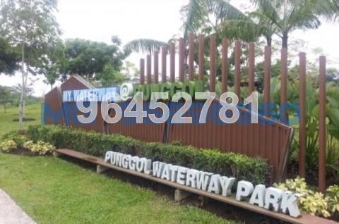 Blk 105B Edgefield Plains (Punggol), HDB 5 Rooms #72295401